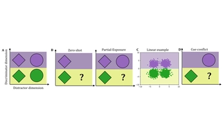 Distinguishing rule- and exemplar-based generalization in learning systems.